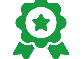 icon 5